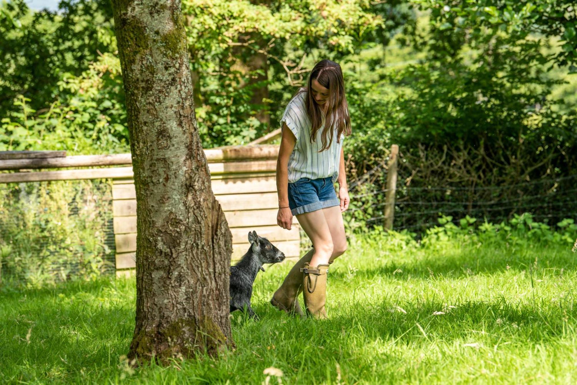 Gilfach Gower Farm Luxury Yurt With Hot Tub Hotel Ammanford Eksteriør billede