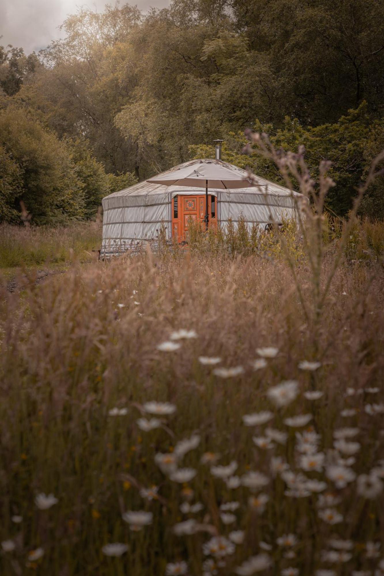 Gilfach Gower Farm Luxury Yurt With Hot Tub Hotel Ammanford Eksteriør billede